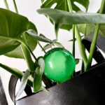 Waterbol groen