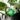 2-waterbollen-groen-02