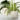 Bestand_009_small