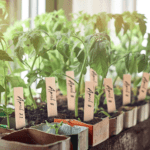 Plantlabels