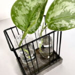 Stekstation 2 vaasjes