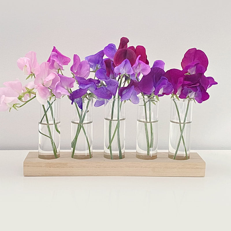Opklapbare glazen vaas, reageerbuisvaas voor bloemen, hydrocultuur-reageerbuisvaas, glazen vaas met standaard, buisvormige vaas voor bloemen, planten, woondecoratie, transparant