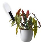 Vochtmeter planten binnen