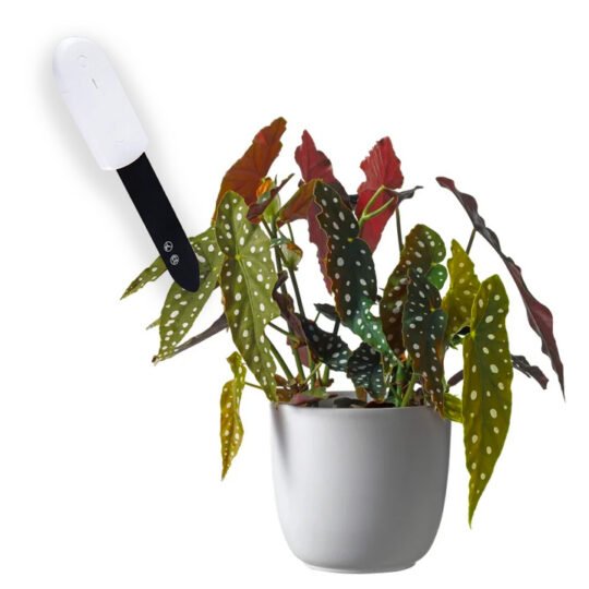 Vochtmeter planten binnen