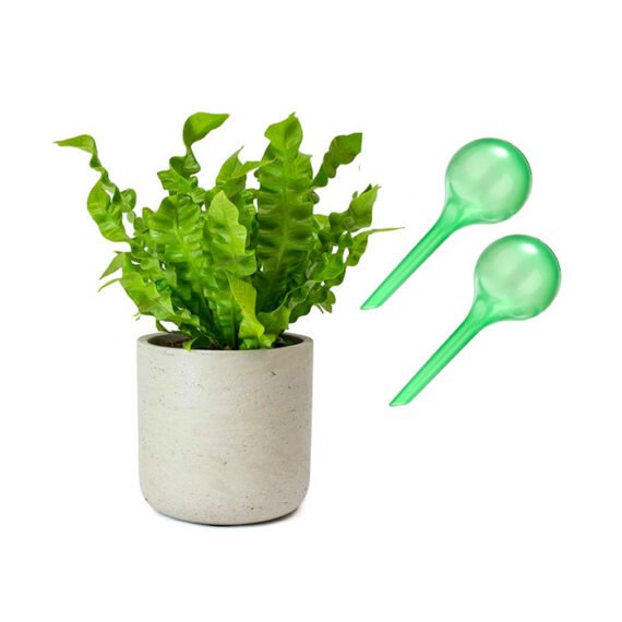 Waterbol s groen
