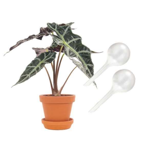 Waterbol transparant S