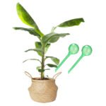 Waterbol XL groen