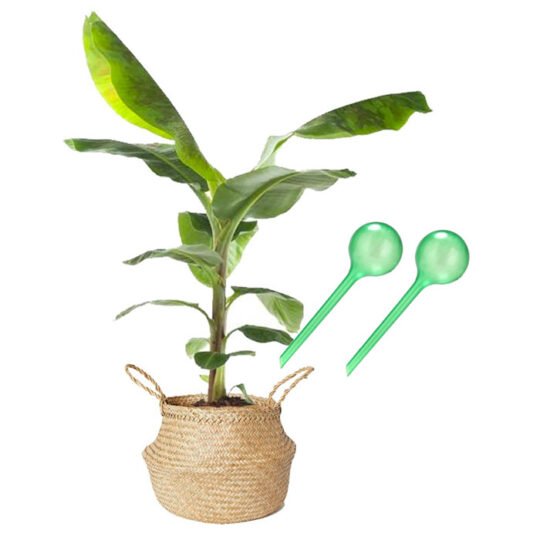 Waterbol XL groen