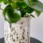 Gevlekte cheetah bloempotten