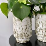 Set gevlekte cheetah potten groen wit beige
