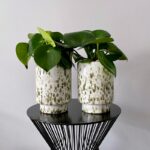 Set gevlekte cheetah potten groen wit beige