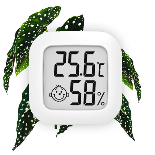 Hygrometer