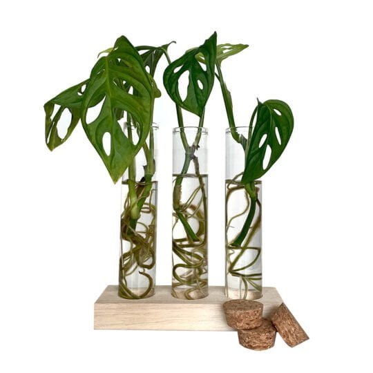 Stekstation 3 reageerbuisjes