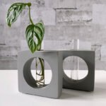 Cement vaasjes stekjes water