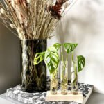 Stekstation met reageerbuisjes voor stekjes