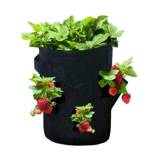 Aardbeien kweekzak