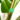 plantenklittenband-05
