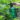 plantenspuit-groen-2l-06