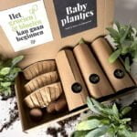 Blauwvaren blauwvarens stekjes kleine plantjes babyplantjes