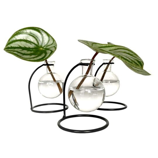 Drie vaasjes in metalen houder - Set van 3