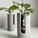 Cement vaasjes calathea