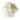 skeleton-gedroogde-bladeren-wit-creme-1