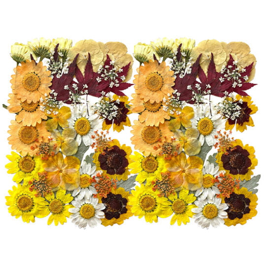 Geperste en gedroogde bloemen voor knutselen