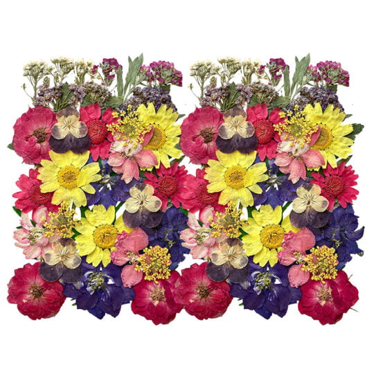 Geperste en gedroogde bloemen voor knutselen