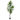 Ficus-150-02-planttools